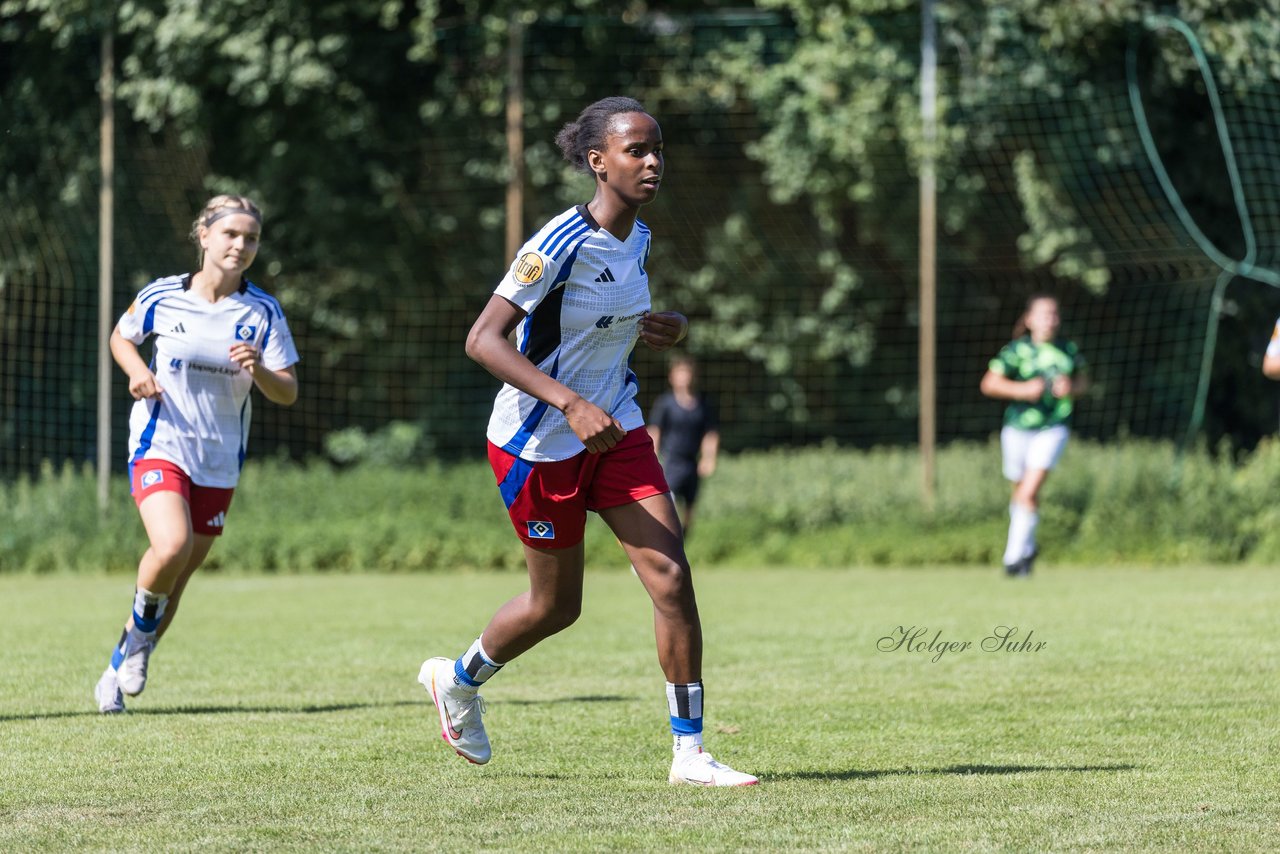 Bild 410 - wBJ Hamburger SV - VfL Wolfsburg : Ergebnis: 5:1